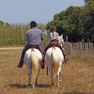 Ballade à cheval - Domaine Méjan - Paradou