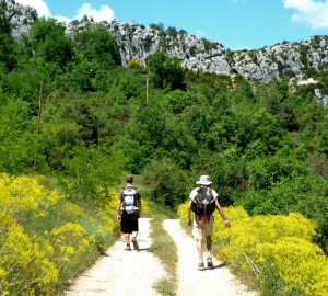 Randonnées nature - Domaine Méjan - Paradou